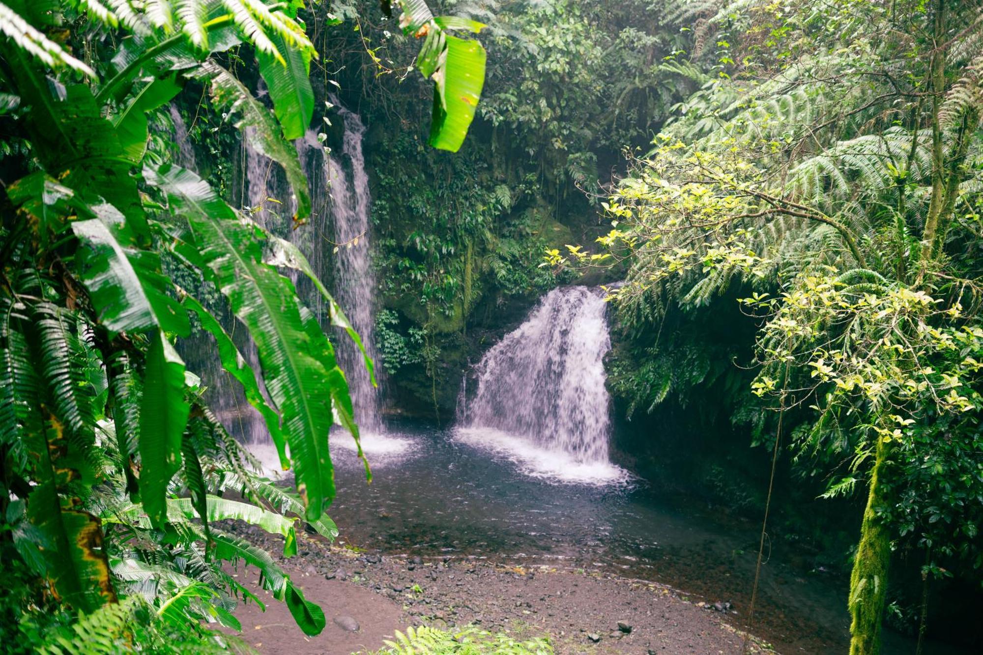Santya Loka Lodge & Twin Waterfall Jatiluwih Buitenkant foto