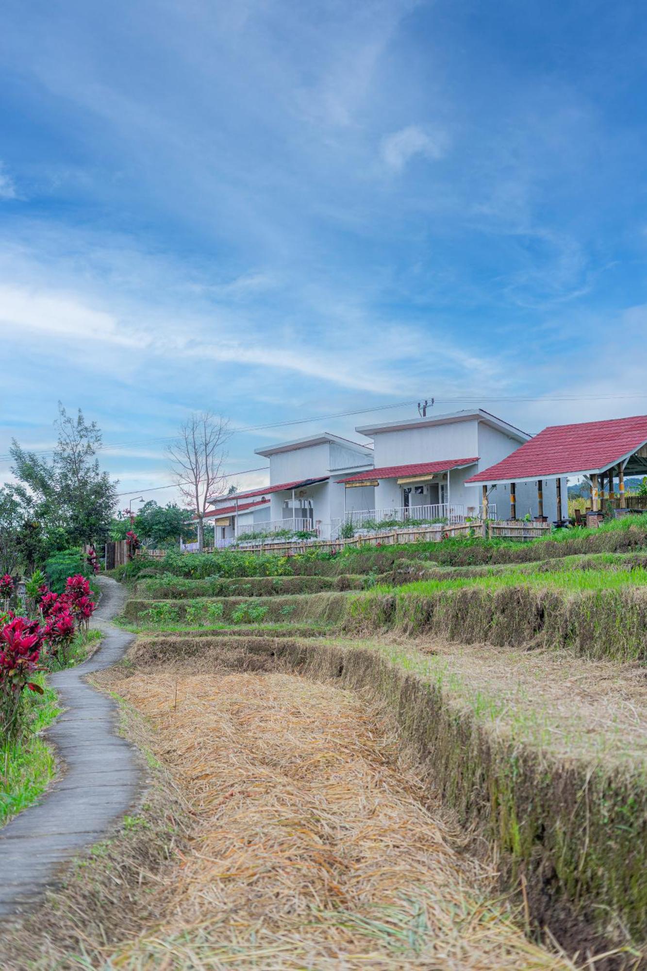 Santya Loka Lodge & Twin Waterfall Jatiluwih Buitenkant foto
