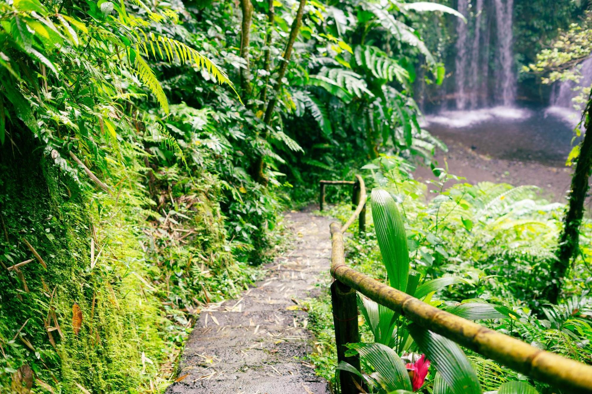 Santya Loka Lodge & Twin Waterfall Jatiluwih Buitenkant foto