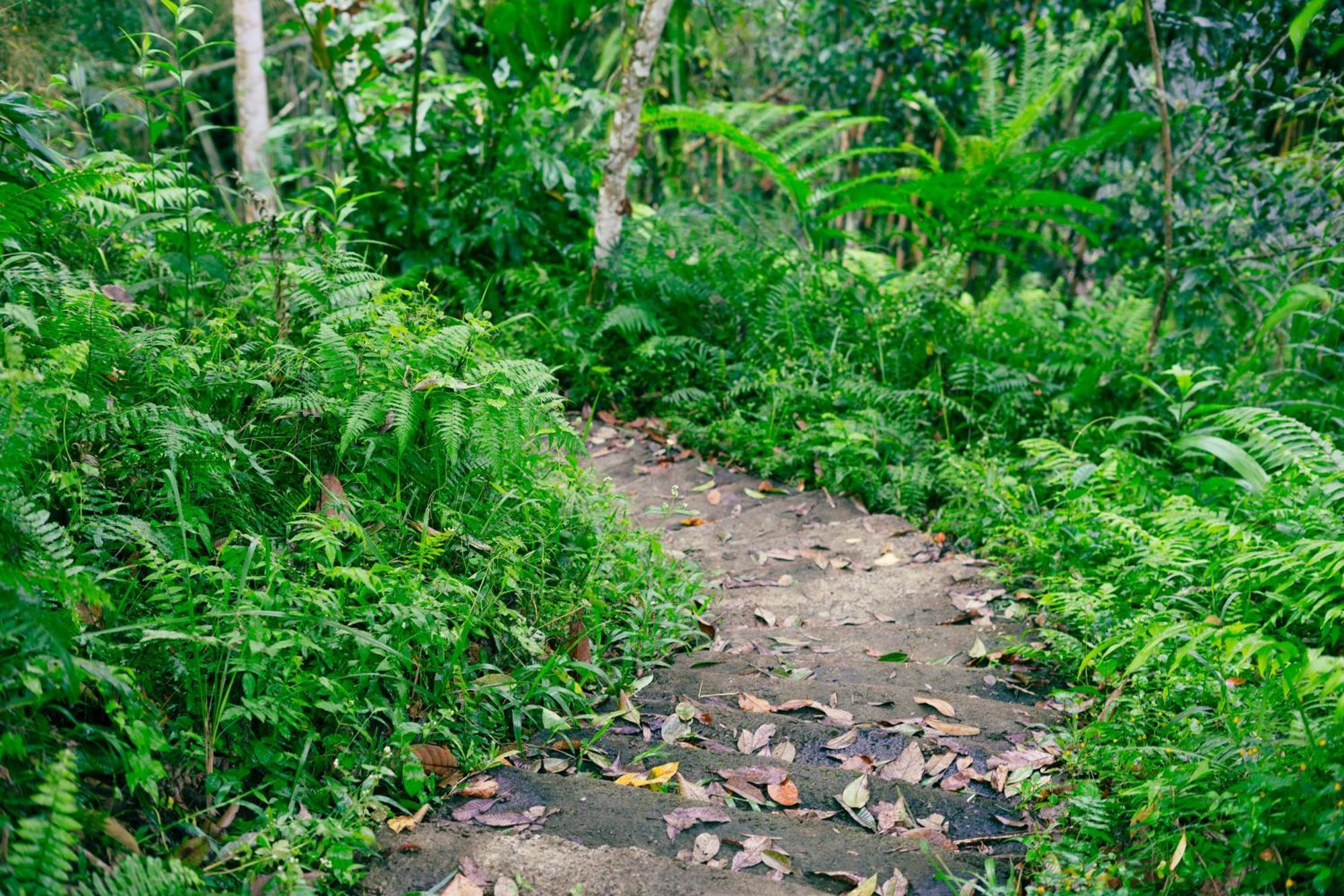 Santya Loka Lodge & Twin Waterfall Jatiluwih Buitenkant foto
