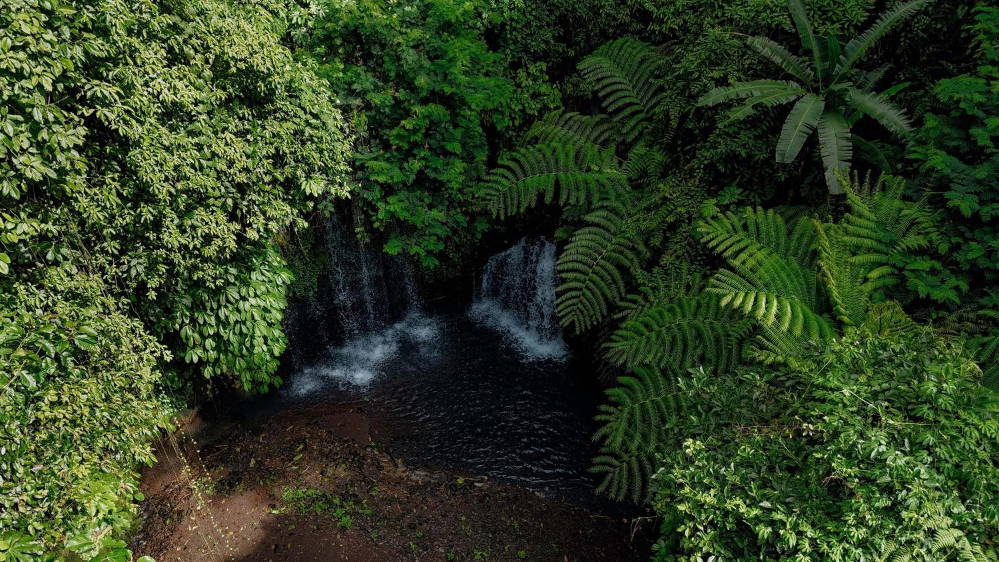 Santya Loka Lodge & Twin Waterfall Jatiluwih Buitenkant foto