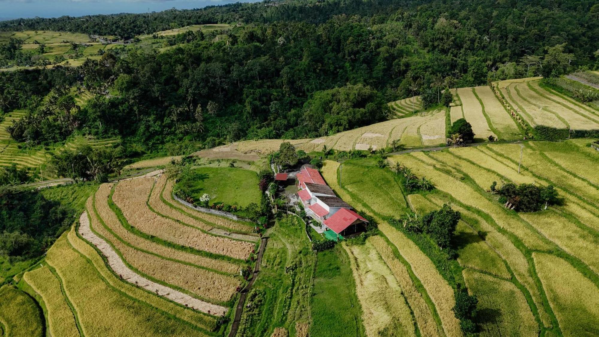 Santya Loka Lodge & Twin Waterfall Jatiluwih Buitenkant foto