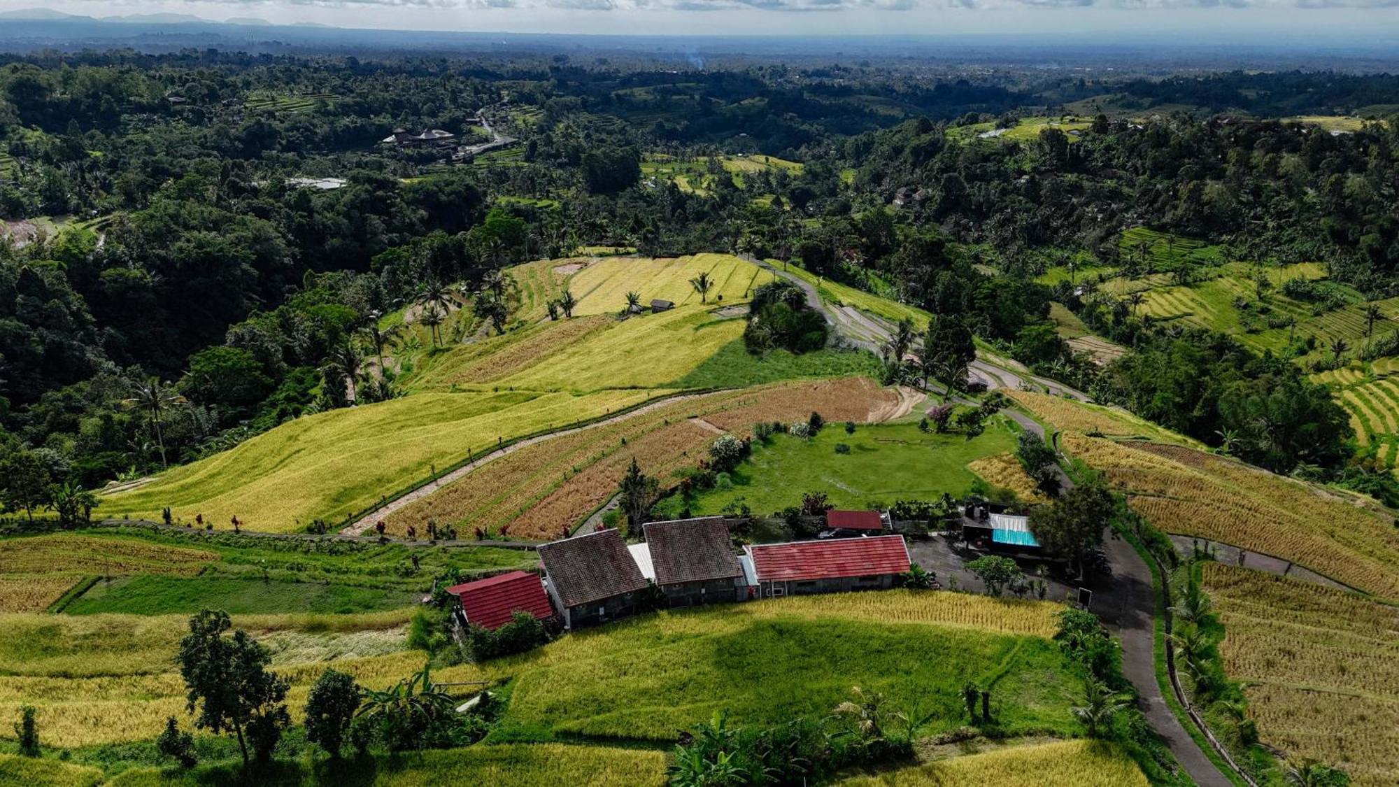 Santya Loka Lodge & Twin Waterfall Jatiluwih Buitenkant foto