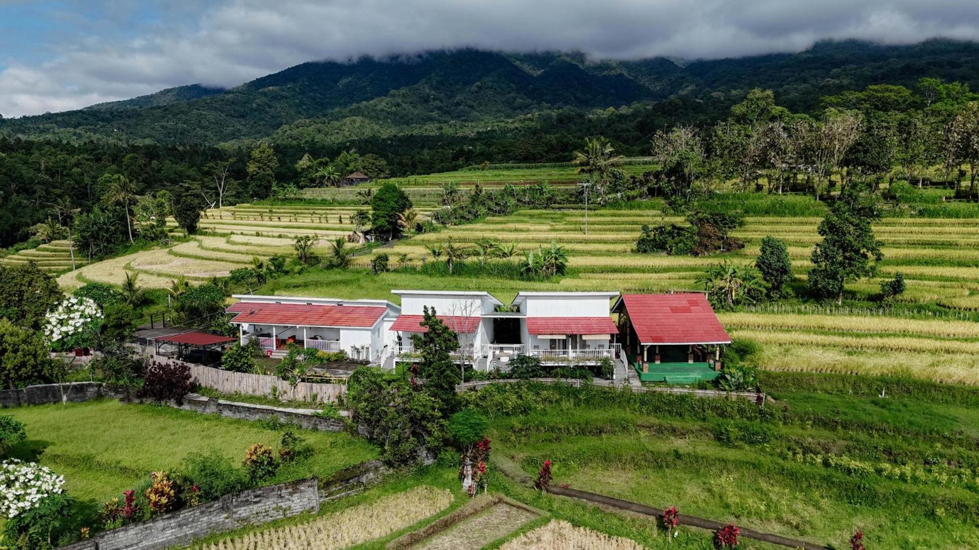 Santya Loka Lodge & Twin Waterfall Jatiluwih Buitenkant foto