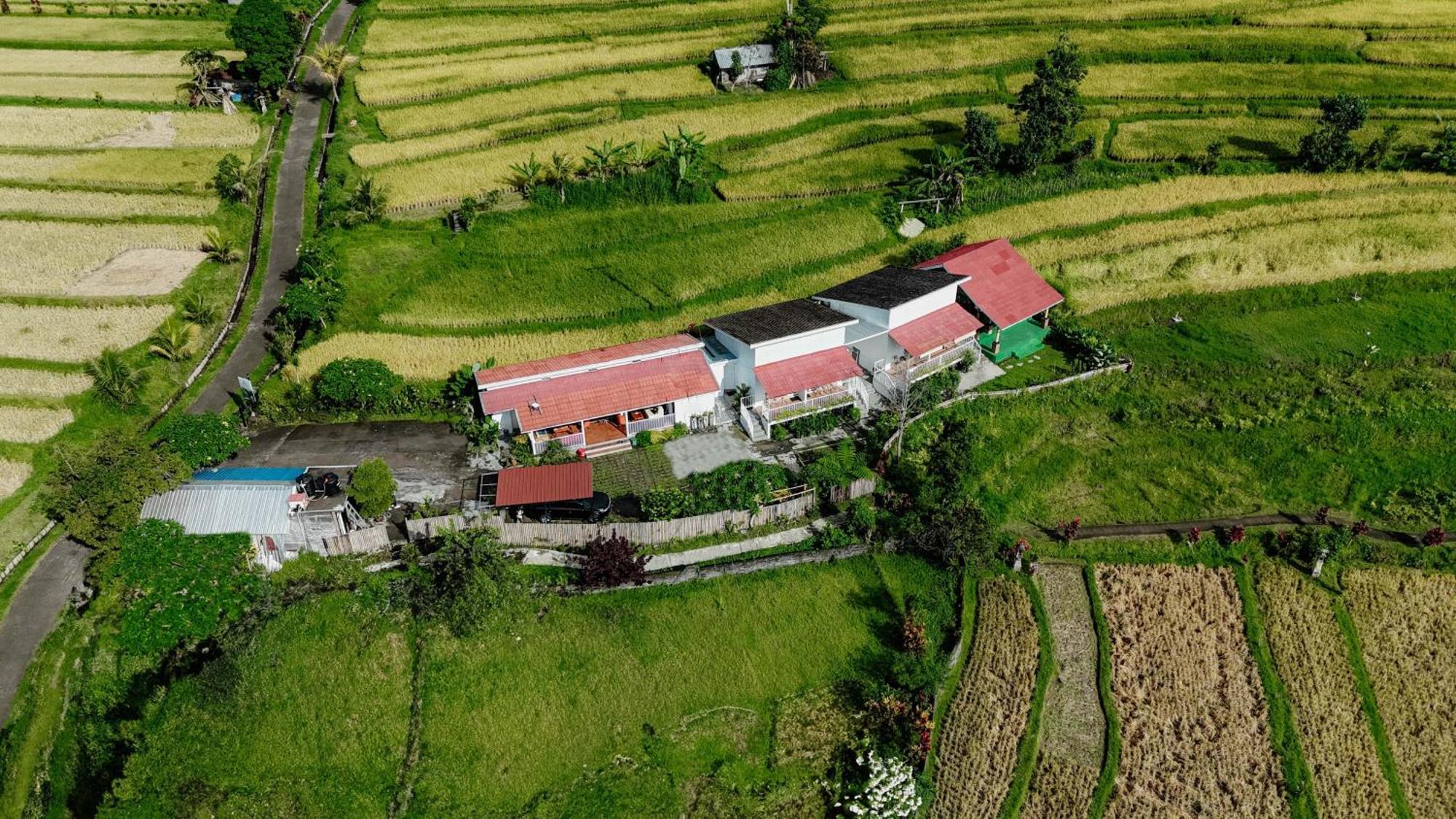 Santya Loka Lodge & Twin Waterfall Jatiluwih Buitenkant foto