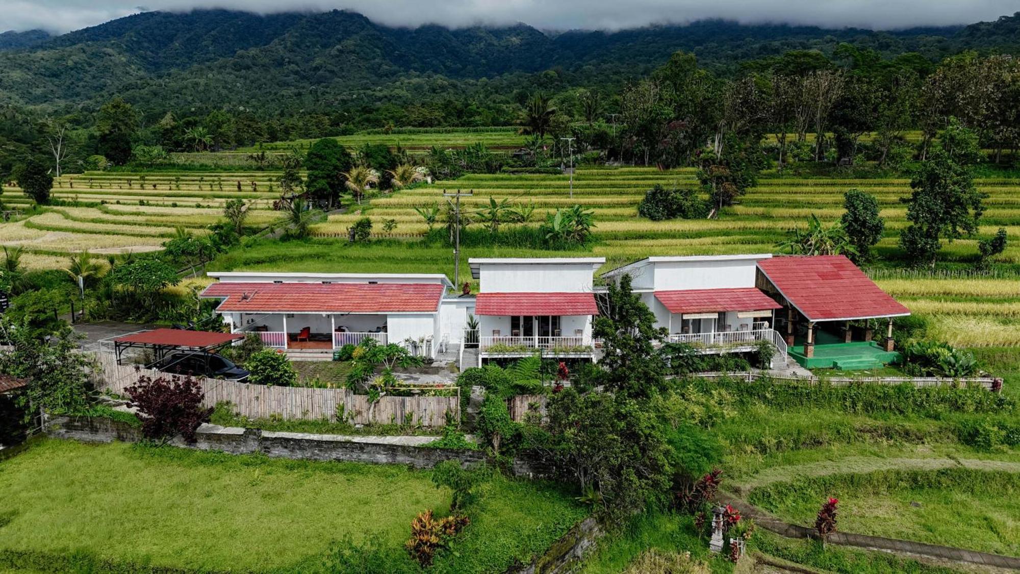 Santya Loka Lodge & Twin Waterfall Jatiluwih Buitenkant foto