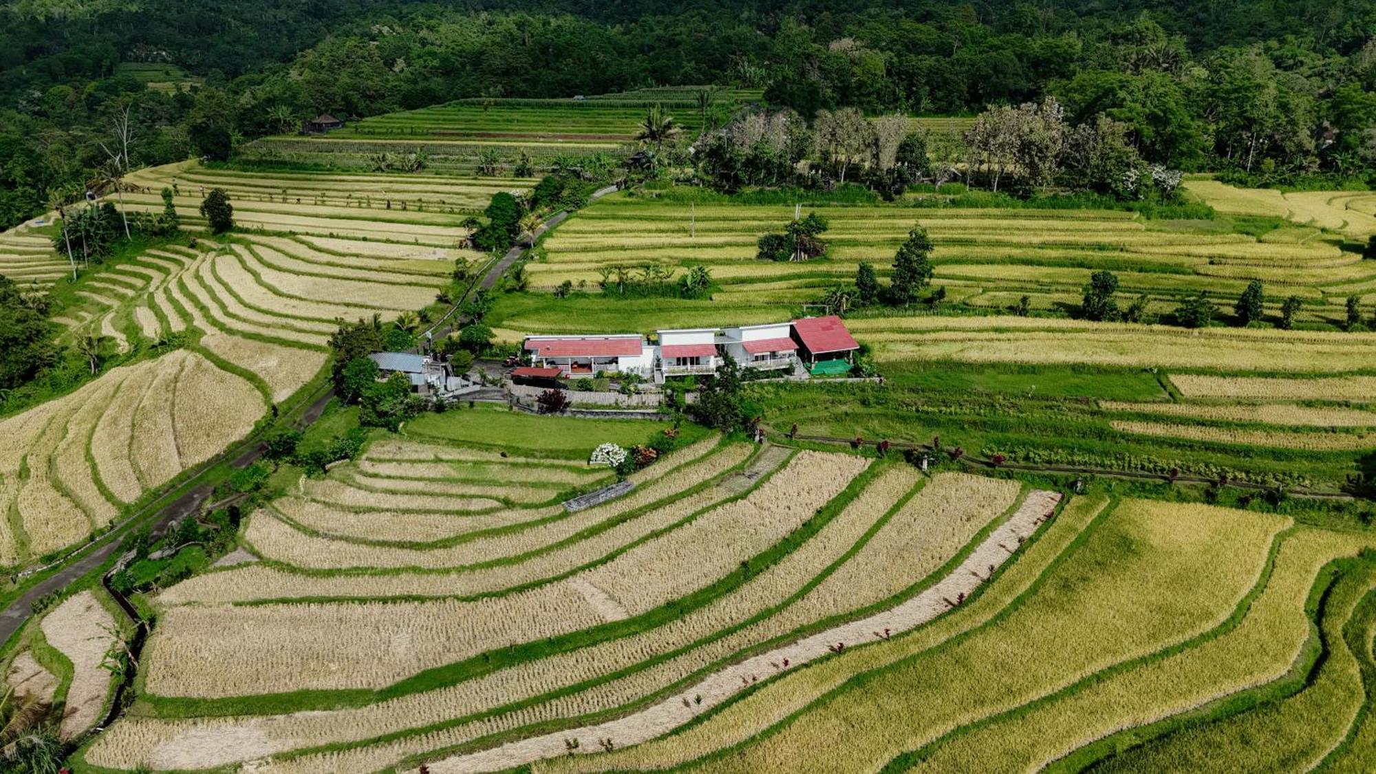 Santya Loka Lodge & Twin Waterfall Jatiluwih Buitenkant foto