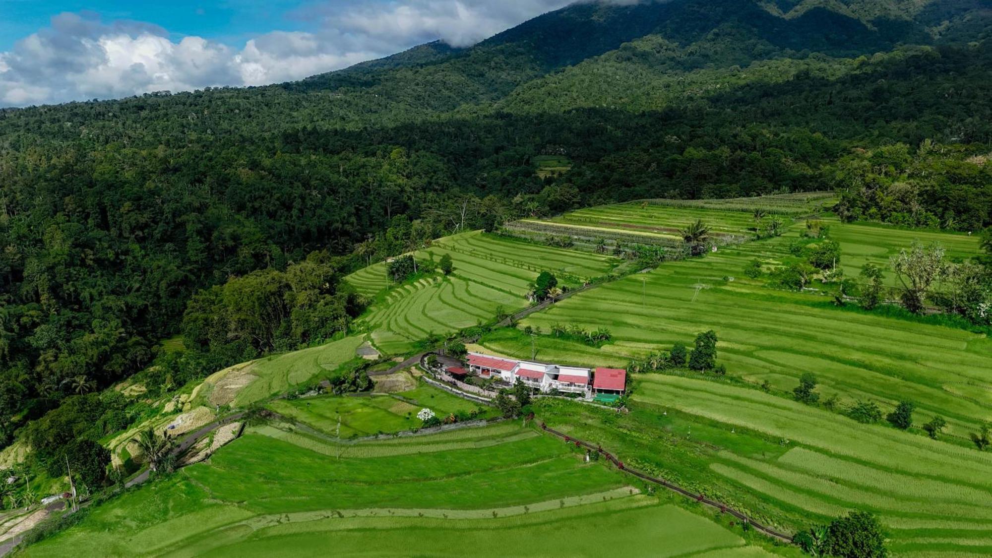 Santya Loka Lodge & Twin Waterfall Jatiluwih Buitenkant foto